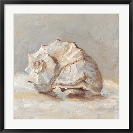 Framed Impressionist Shell Study II Print